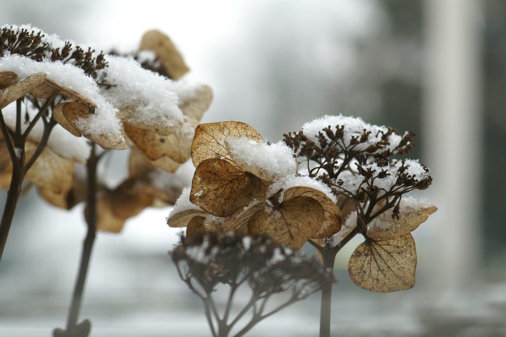 Prognoza meteo, 25 octombrie. Frig, ploi și ninsori la munte. Vreme capricioasă la început de weekend