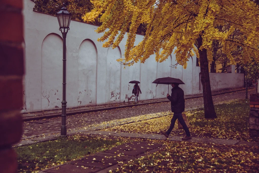Prognoza meteo, 26 octombrie. Vreme mohorâtă și ploi în mare parte din țară. Unde se vor înregistra ninsori